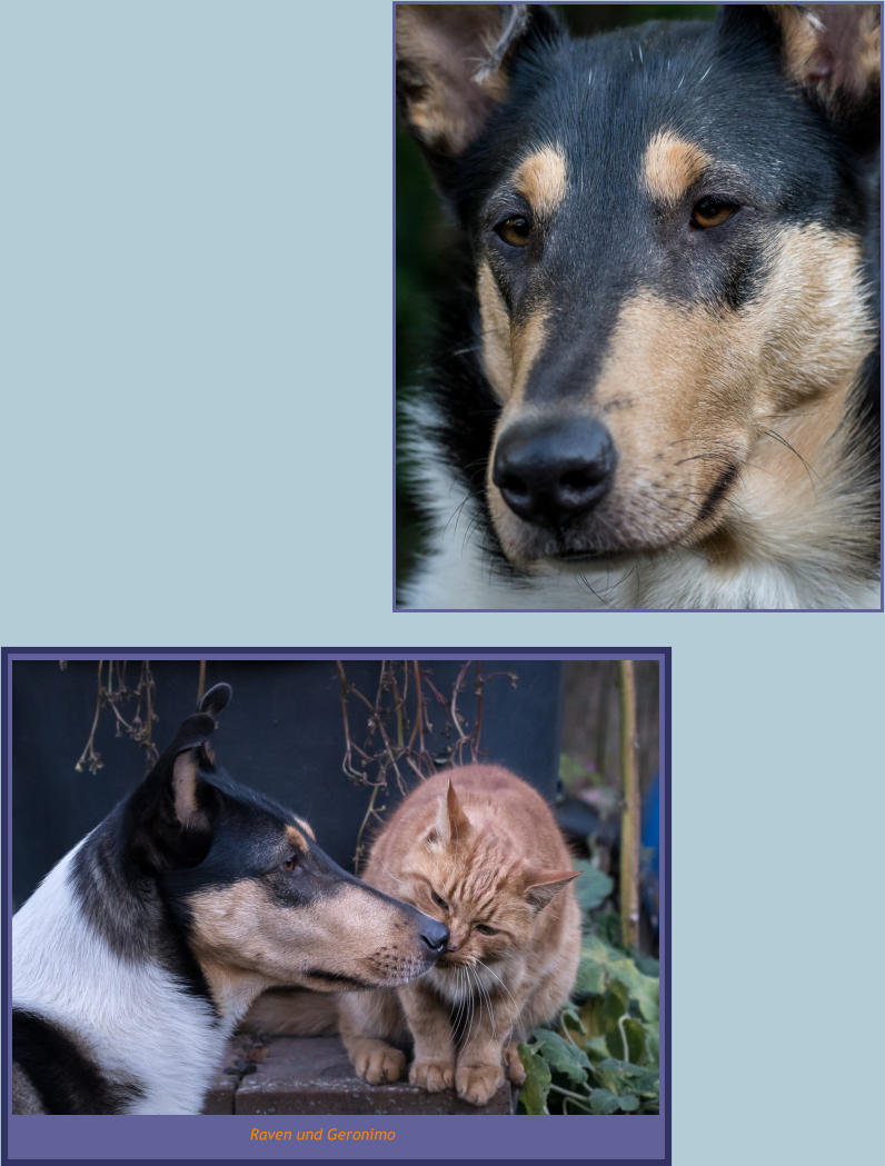 Raven und Geronimo