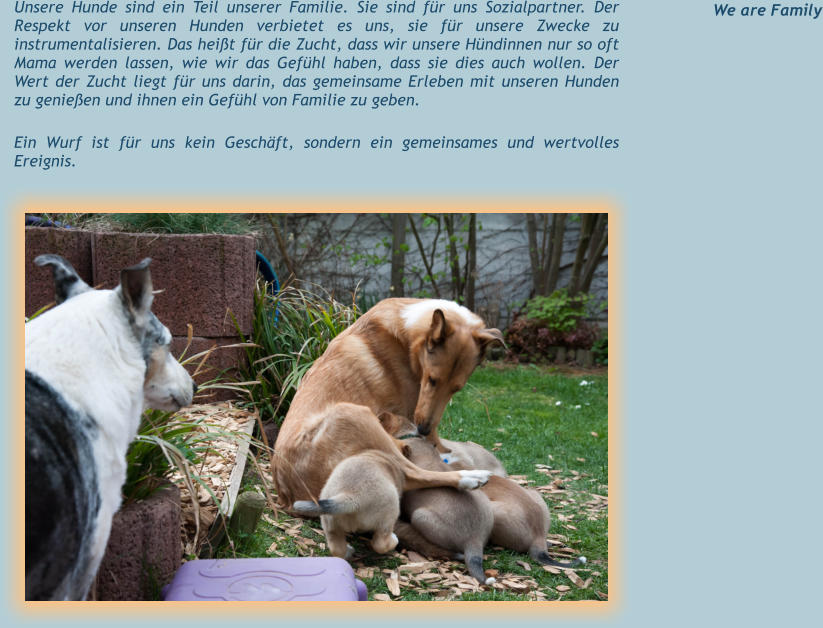 We are Family           Unsere Hunde sind ein Teil unserer Familie. Sie sind für uns Sozialpartner. Der Respekt vor unseren Hunden verbietet es uns, sie für unsere Zwecke zu instrumentalisieren. Das heißt für die Zucht, dass wir unsere Hündinnen nur so oft Mama werden lassen, wie wir das Gefühl haben, dass sie dies auch wollen. Der Wert der Zucht liegt für uns darin, das gemeinsame Erleben mit unseren Hunden zu genießen und ihnen ein Gefühl von Familie zu geben.  Ein Wurf ist für uns kein Geschäft, sondern ein gemeinsames und wertvolles Ereignis.