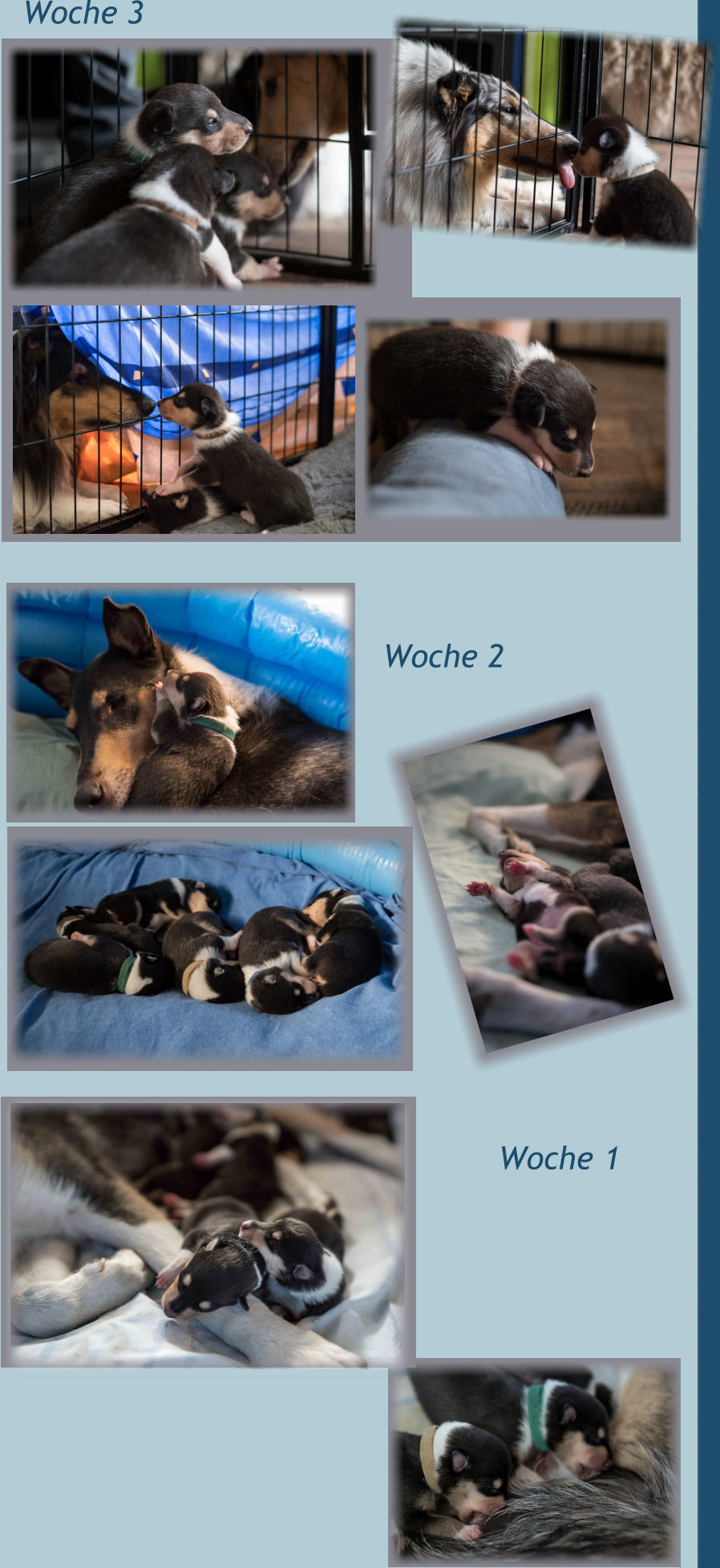 Woche 1  Woche 2 Woche 3