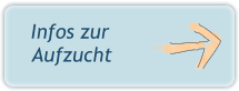 Infos zur Aufzucht