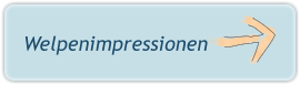 Welpenimpressionen