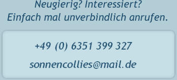 Neugierig? Interessiert? Einfach mal unverbindlich anrufen.
