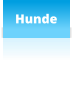 Hunde