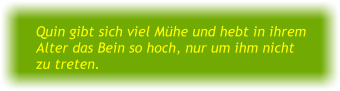 Quin gibt sich viel Mühe und hebt in ihrem Alter das Bein so hoch, nur um ihm nicht zu treten.