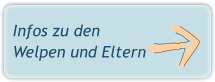 Infos zu den Welpen und Eltern