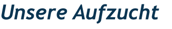 Unsere Aufzucht