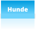 Hunde