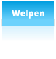 Welpen