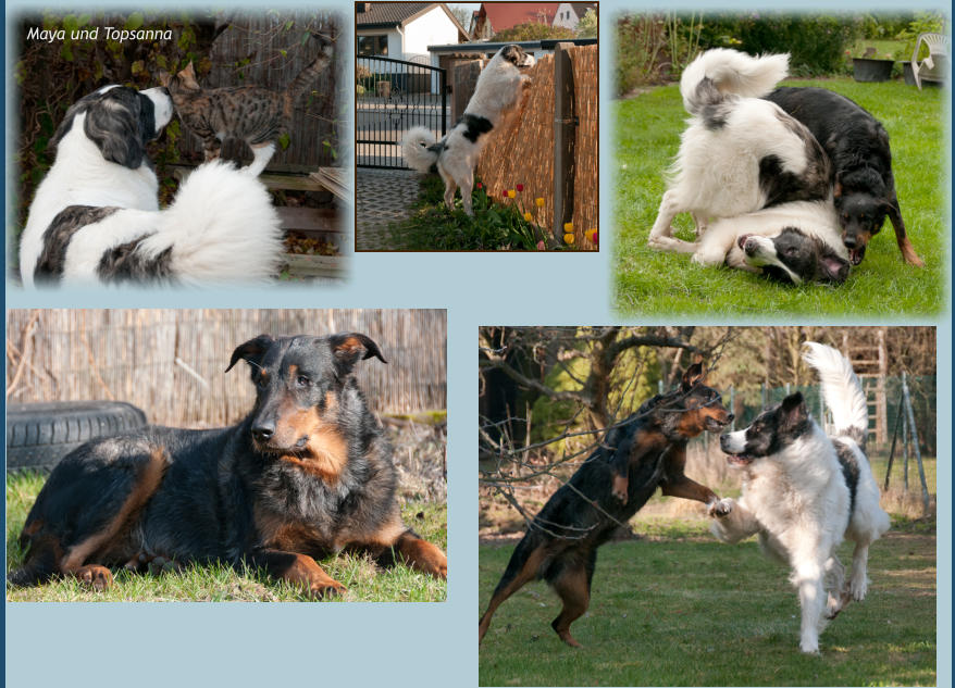 Maya und Topsanna