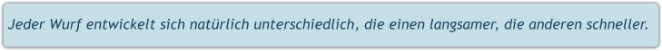 Jeder Wurf entwickelt sich natürlich unterschiedlich, die einen langsamer, die anderen schneller.